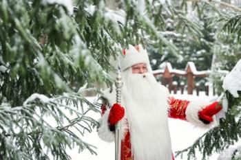 Preview of Национальные парки и санатории Управления делами Президента готовятся к организации новогодних программ